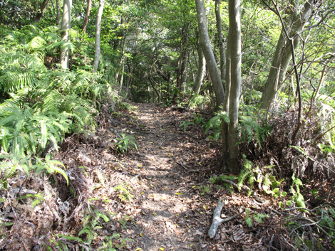 20140426hike (191)